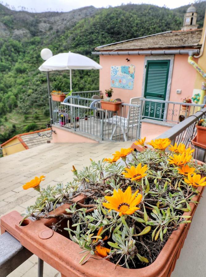 Casa Sandrina *
