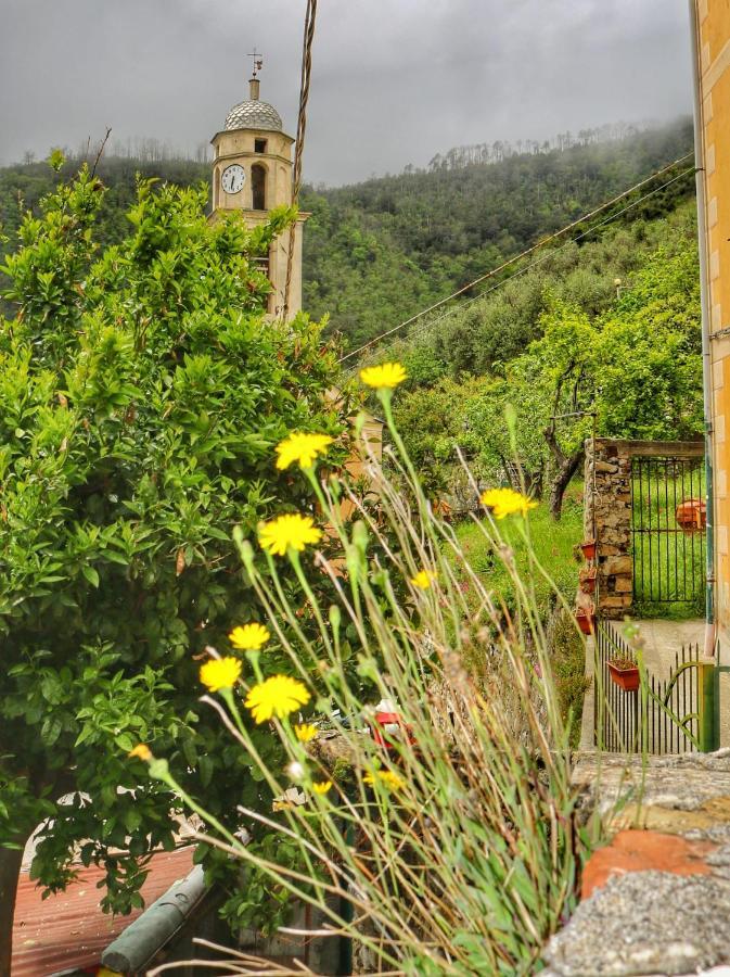 Casa Sandrina Levanto